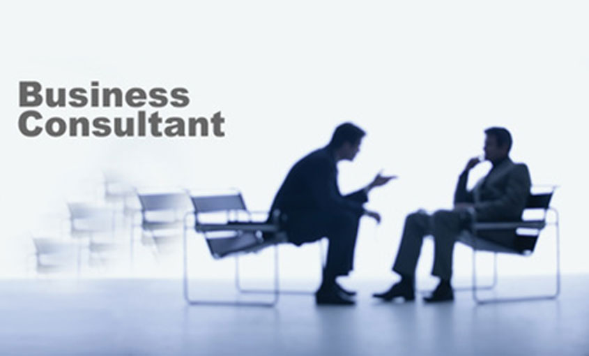 Business consulting meeting